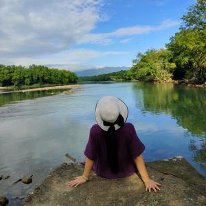 飞（拒私聊）头像