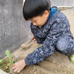 爱吃馒头的英头像