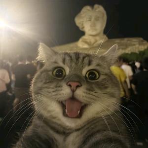 一天中我清醒三次🐰头像