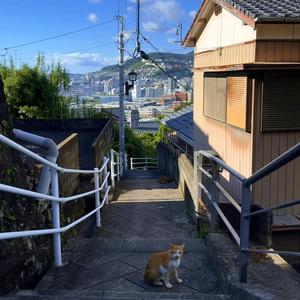 赴日工签～森もり头像