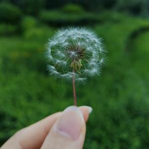 奋斗吧，加油头像