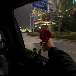 可乐不加冰㊟头像