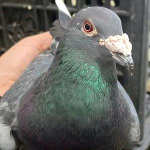昆明小伟头像
