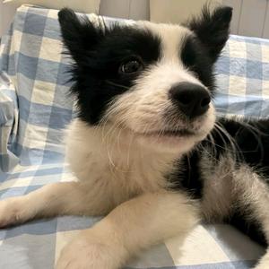 好运眷顾我们头像