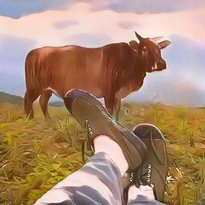 吉林松原养牛人李小丫头像