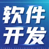 掌上AI🌈软件开发头像