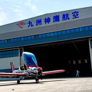 会飞的陶陶头像