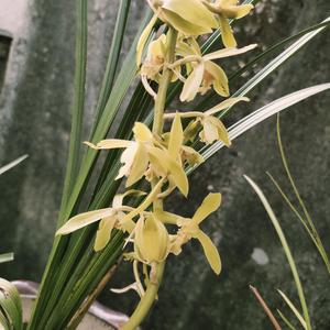 一切靠自己头像