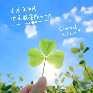 申家老卤（橱窗有好物）头像