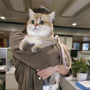 🍎小苹果🍎头像