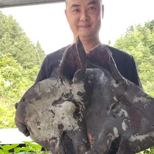 腊味小哥土特产头像