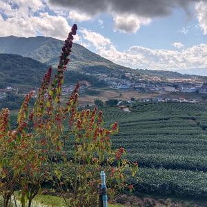 遗憾的过客头像