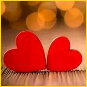 ✨风雨之燕✨💞头像