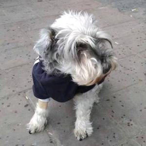 正在输入...头像