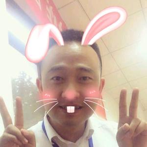 小羽之🐴🐰头像