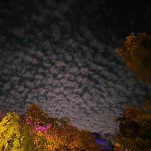 Lin下听风丶头像