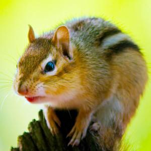 小钧的世界头像