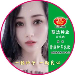 联达四平云小店-阿凤头像