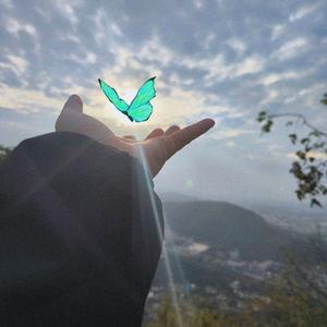 ──  展开 987 条回复 ⌵头像