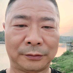 创作者刘二娃头像