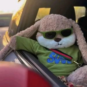 𝐹𝑜.四照头像