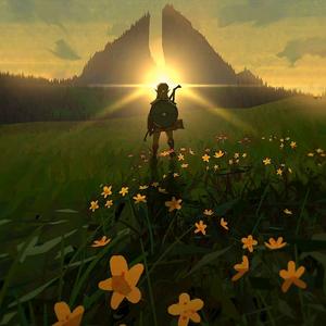 番茄炒蛋要加糖头像