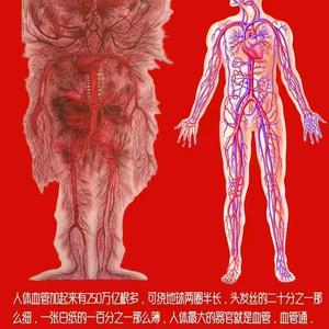 医生相随的抖音 - 抖音