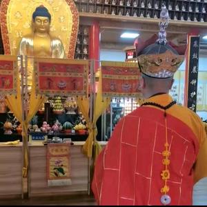 慧缘法师（结缘）头像
