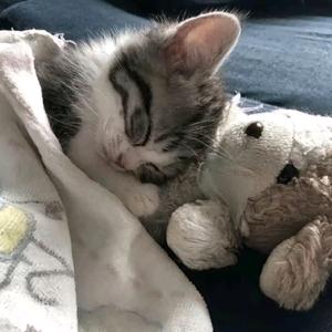 等雨停时爱你头像