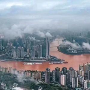 重庆知易外国语学校夏老师头像