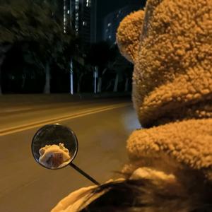 可真难为我懒羊羊୧⍤⃝🌻头像