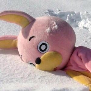 Yang__阳游戏日常🔥头像