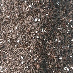 太行松针厂家2头像