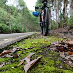 长洲医材（单行骑）头像