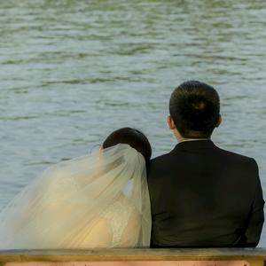 梧桐树爱生活头像