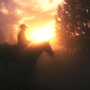 还在读书的我（反诚哥）头像