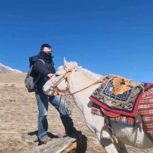 野猪哥哥哥哥哥哥哥头像