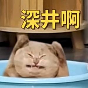 路过的网友头像