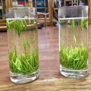 我爱喝紫阳茶头像