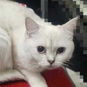 束缚你的只有你自己绿泡泡是月亮头像