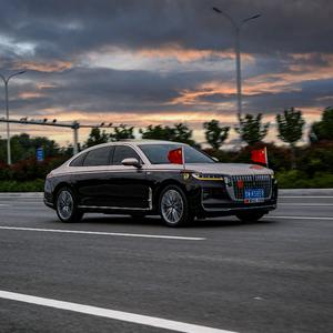 汤臣的红旗头像