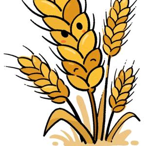 物院麦子学姐🍀头像