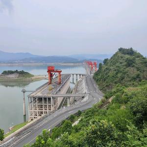 上下奇粲顶底头像