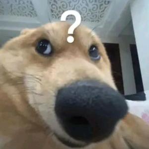 头像是本人头像