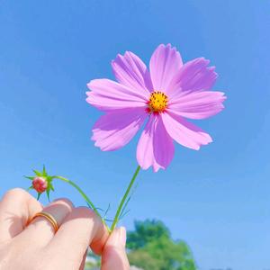 霉脾气🎈（憨家村）头像