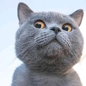 一番角逐🌸头像