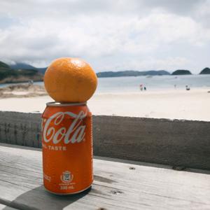 树边有片海头像