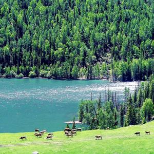 川西纯玩小团 天天发头像