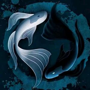 风水大世界头像