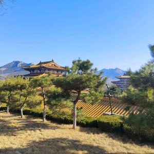 幸运之星CXZ头像